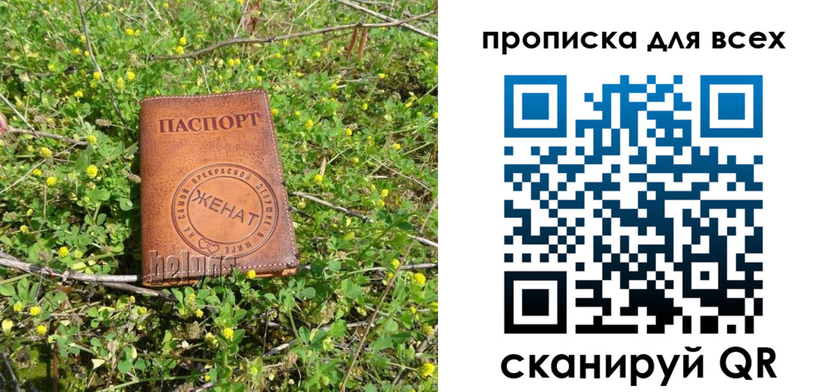 прописка поиск в Зверево